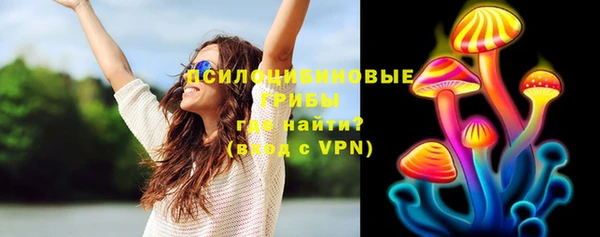 прущие грибы Балабаново
