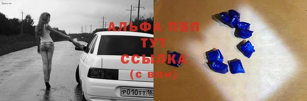 шишки Аркадак