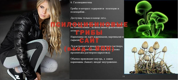 соль курить ск Арсеньев