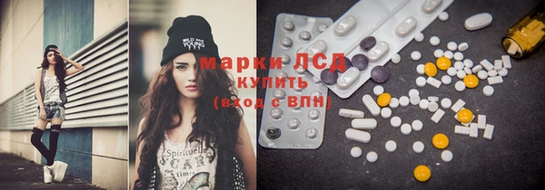 шишки Аркадак