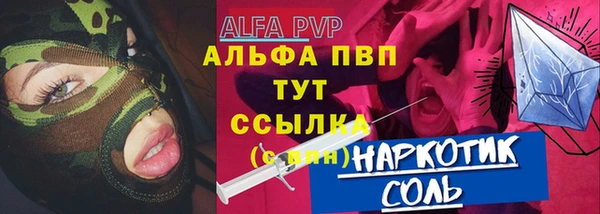 шишки Аркадак