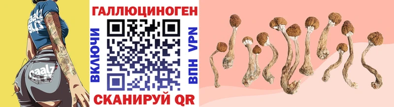 ОМГ ОМГ tor  Навашино  Галлюциногенные грибы Psilocybe 